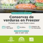 Conservas de Verduras en el Freezer